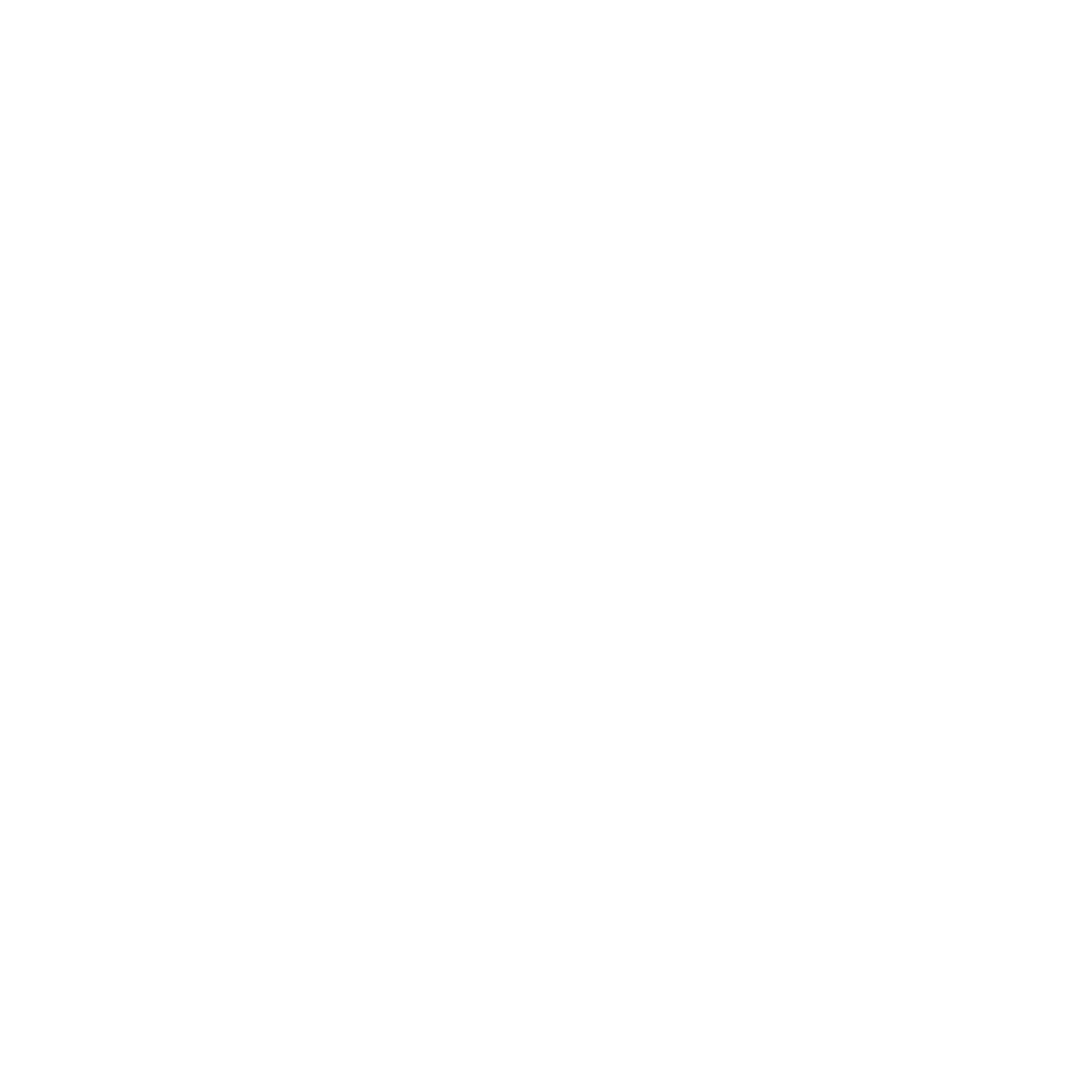 Picture This Digital Rentals
